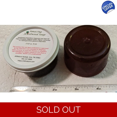 2.5 oz Soothing Amazing Jewelweed and Heal All Bar Soap